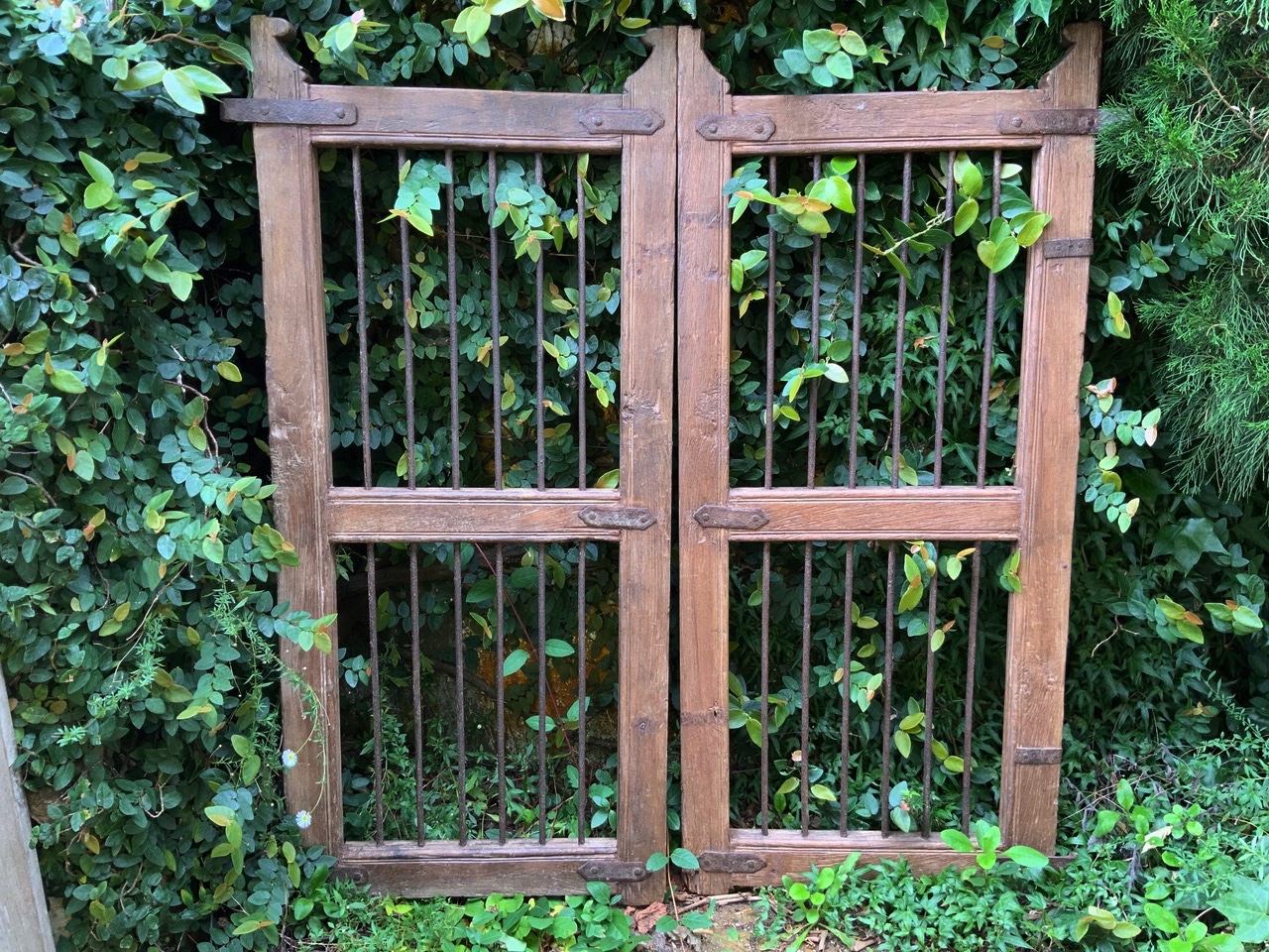 Timber gate with iron bars