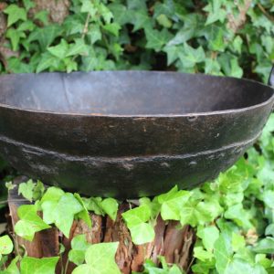 Iron pot in ivy