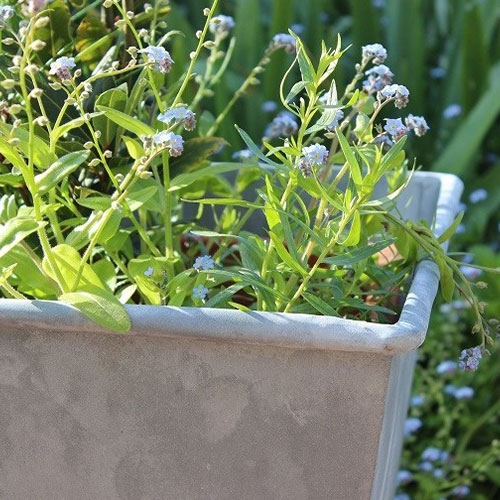 Zinc garden planter pot