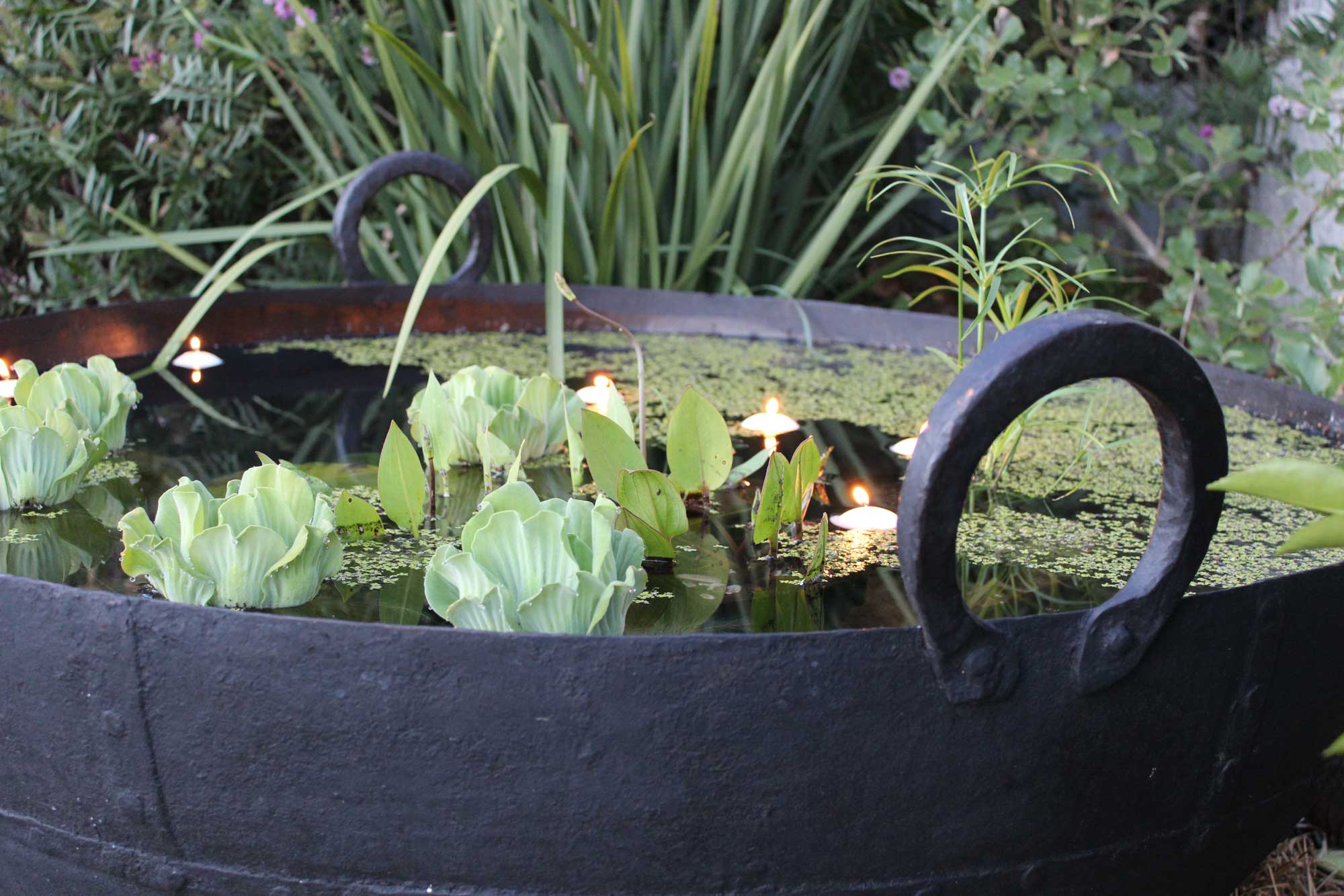 Floating candles in a pond