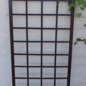 Square Iron Trellis with a honeysuckle plant
