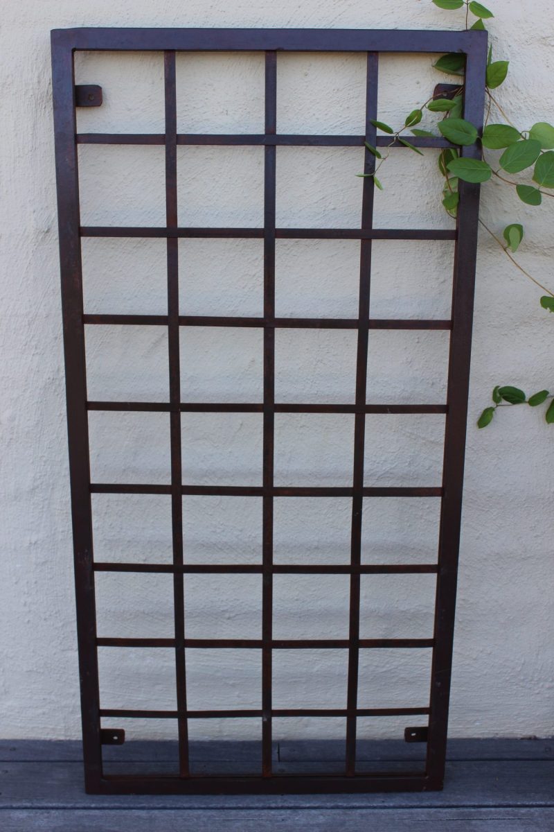 Square Iron Trellis with a honeysuckle plant