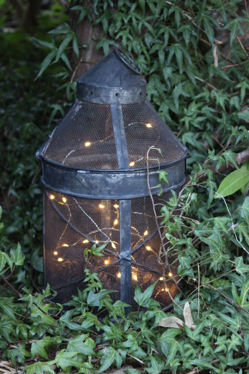 Lantern with wire fairy lights in the ivy