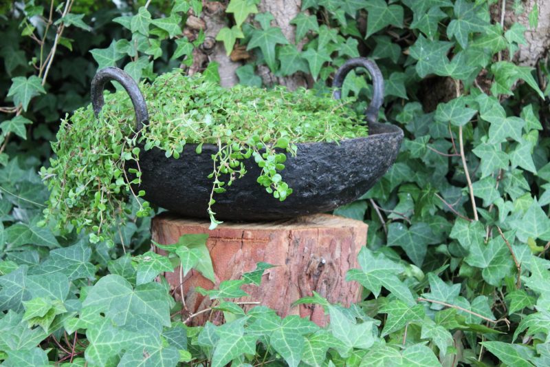 Indian cooking pot planted with succulents