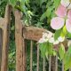 Timber gate and dogwood flower