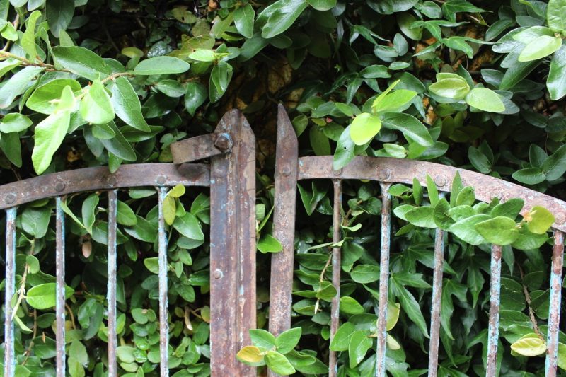 Iron gate with latch
