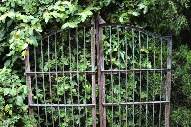 Iron gates with vertical bars