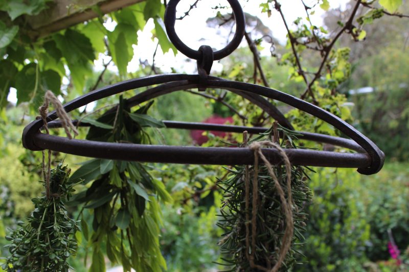 iron herb hanger