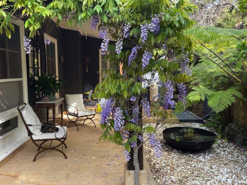 Armchairs with a fire pit in a garden