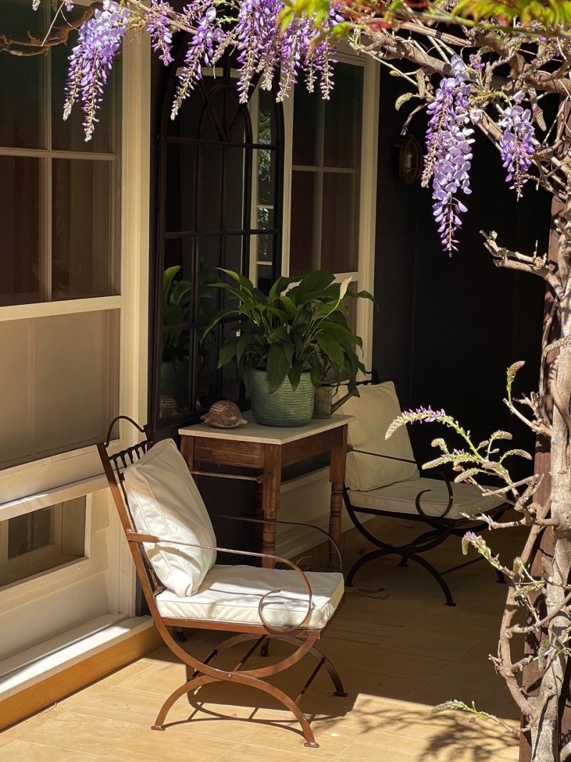 armchair under wisteria on a patio