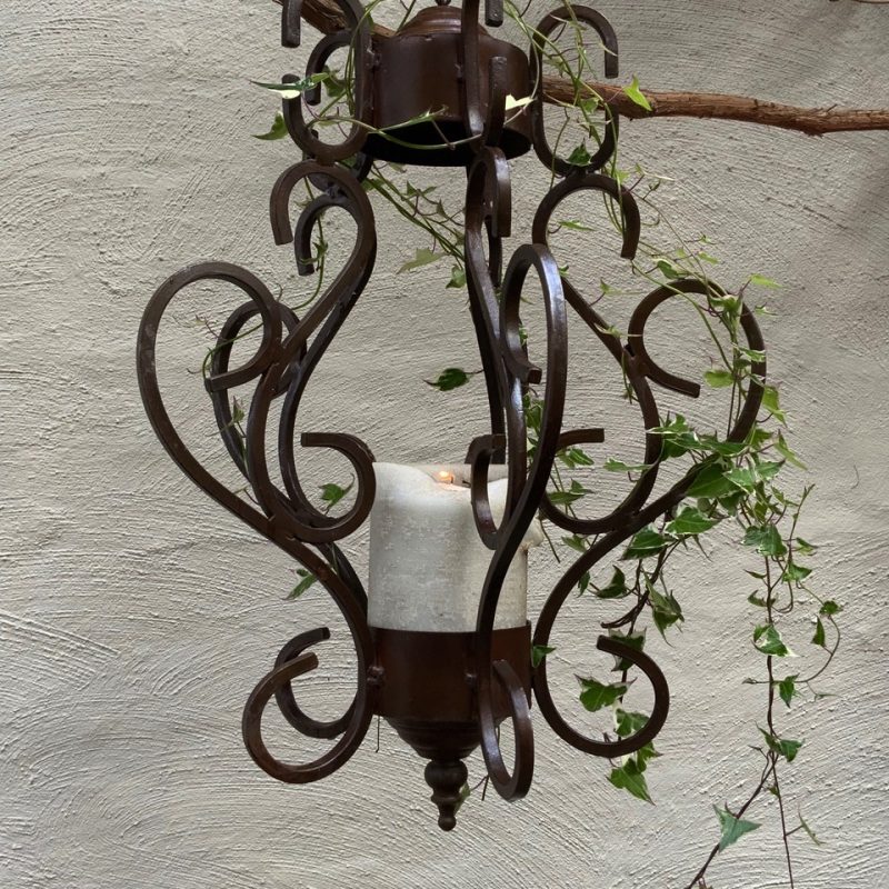 iron chandelier with trailing vine