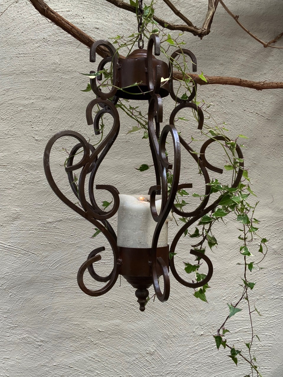 iron chandelier with trailing vine