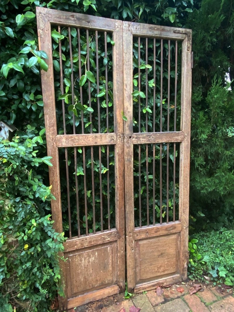 Tall gate with creeping fig